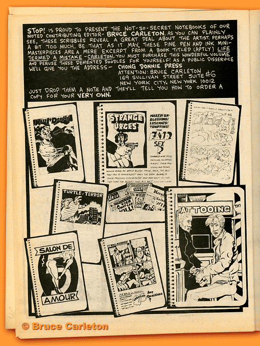 page 1 of Carleton notebook pages in Stop #2