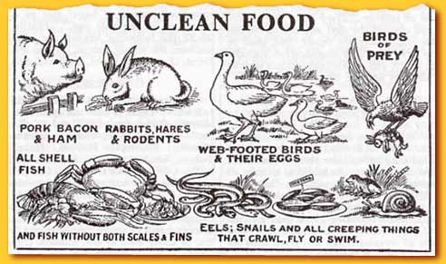 Throw a bit of bat into the blender!