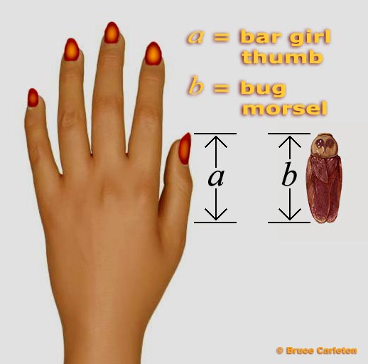 bar girl thumb vis-s-vis bug morsel