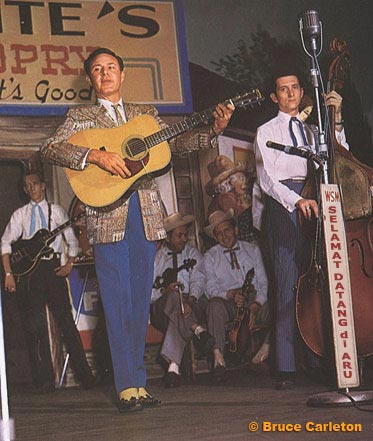 Nana Complex, home of bug snacks