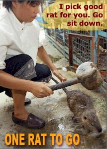 Next step: the dinner table