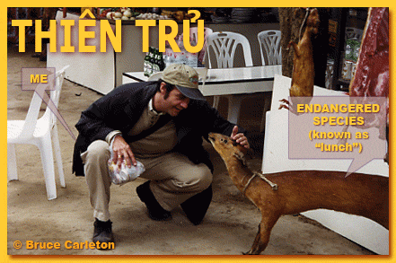 Thien Tru, northern Vietnam: I meet my lunch.